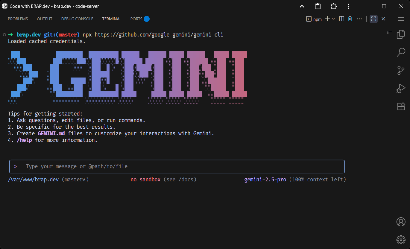 Gemini CLI running on BRAP.dev